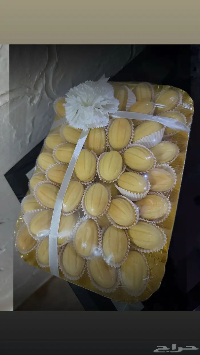 جوزية المدينة 7
