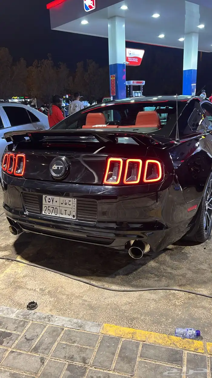 موستنج GT 2013 بريموم 1 11