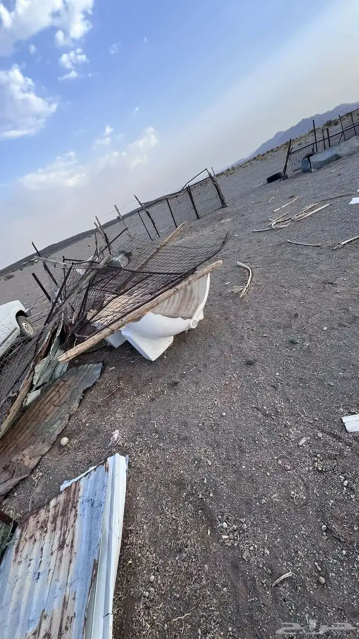 شبوك لبيع 2