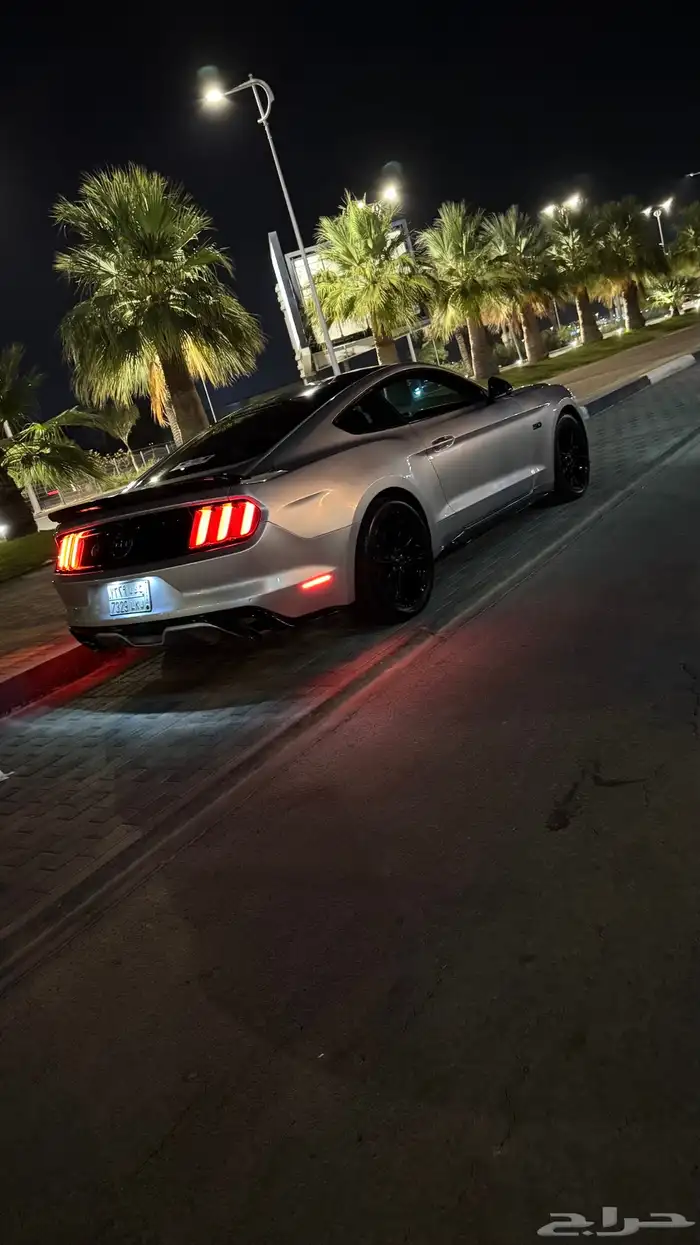 موستنج 2015 3