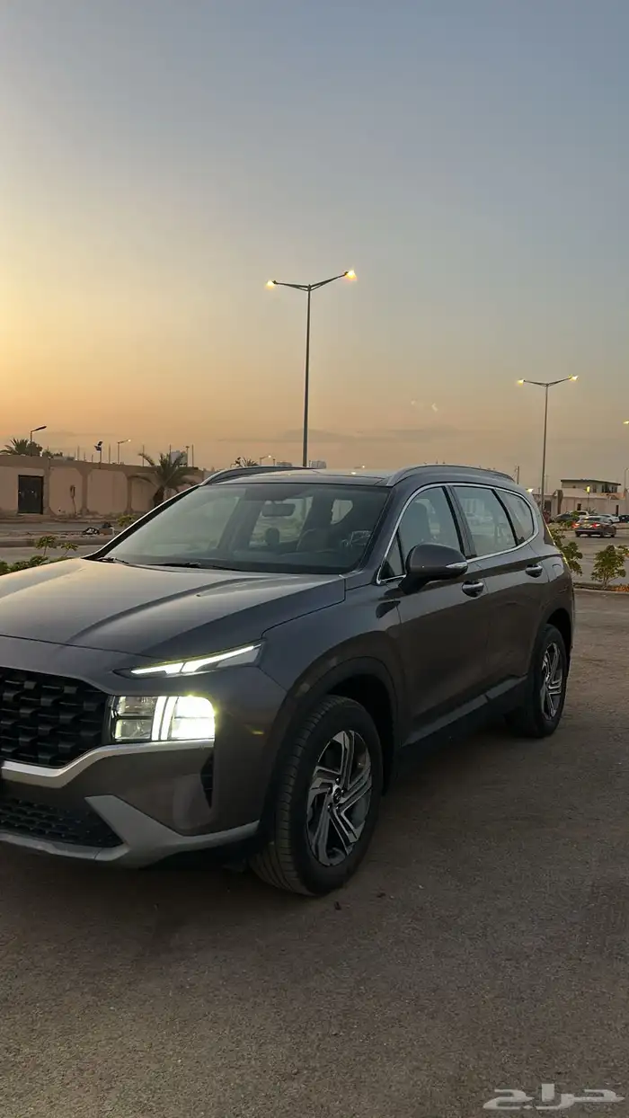 سنتافي2024 2
