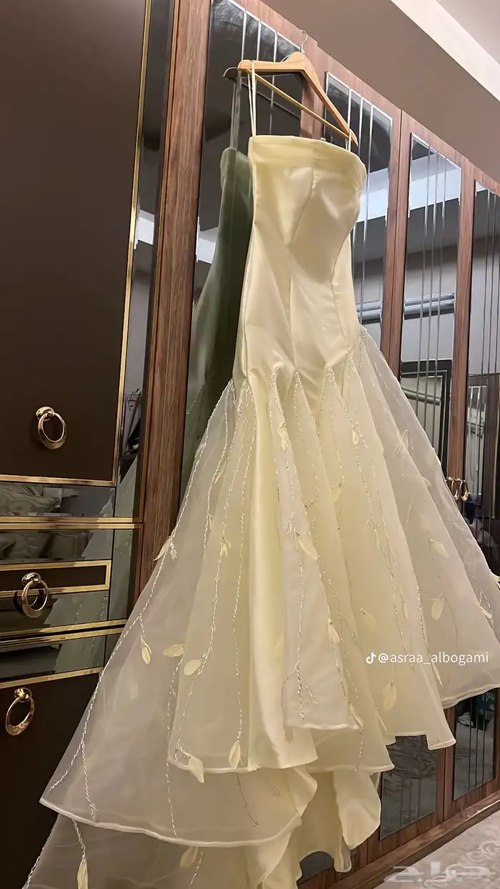 فستان من المصمم اسراء البقمي معاه اكمام منفصله وكيس المصمه 1