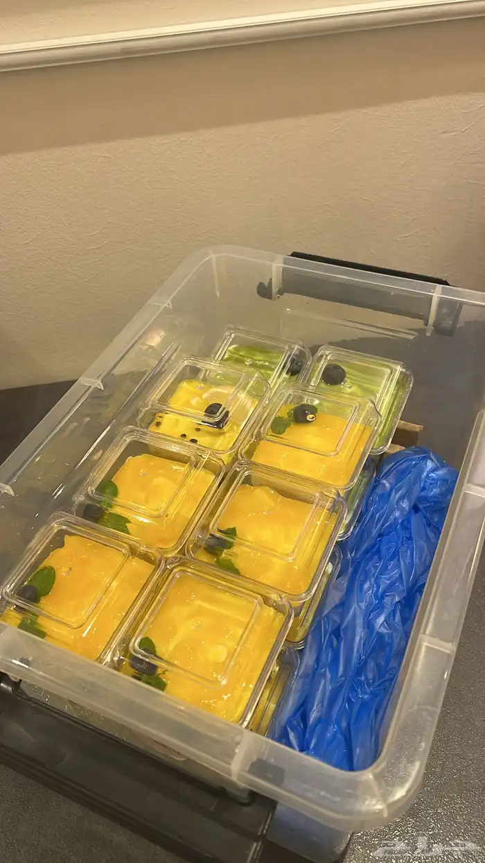 ترافل منجا   ماتشا 0