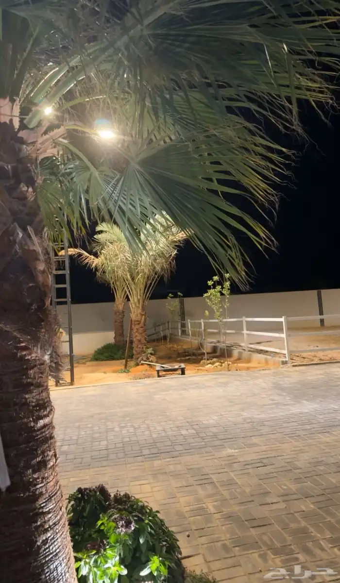 متوفر ايواء خيل الرياض ( ديراب ) خلف مركز الملك عبدالعزيز 8