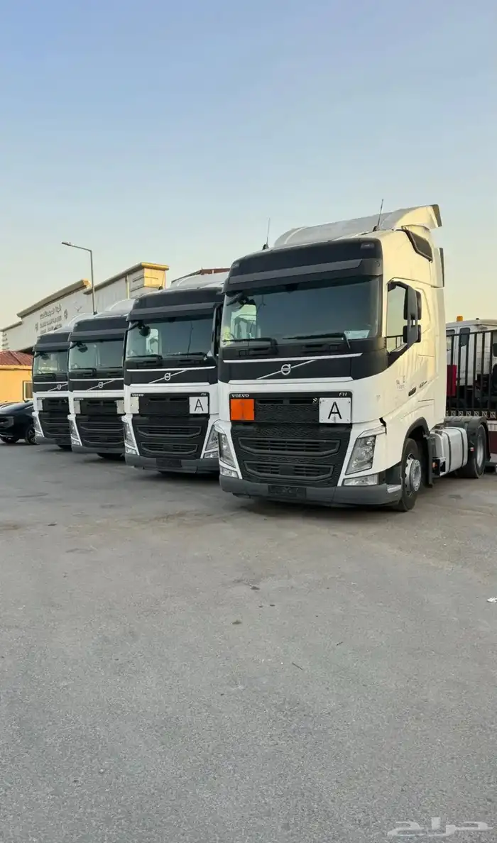 فلفو 2021 اوربي 1