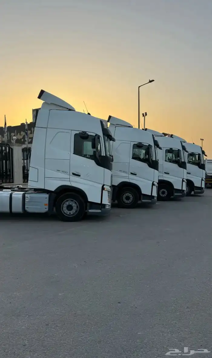 فلفو 2021 اوربي 6