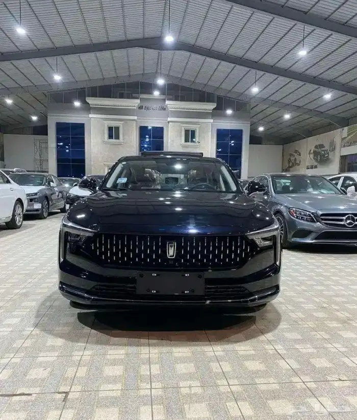 فاو بيستونB70 2025 0