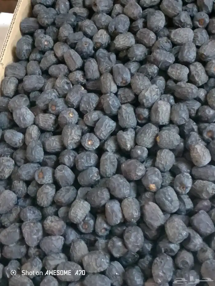 عجوة وربيعة 0