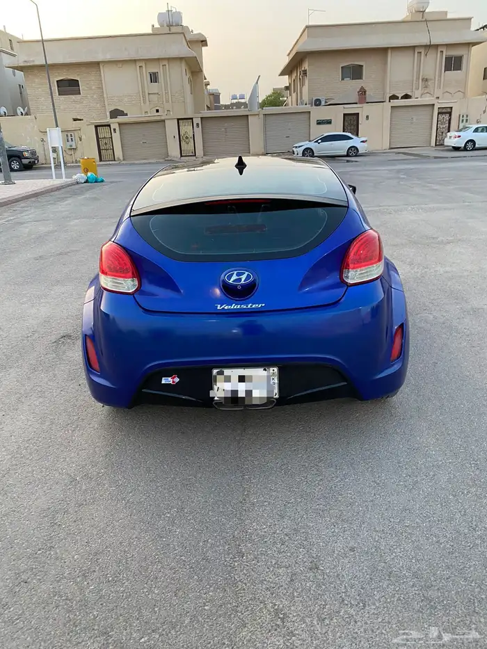 فيلوستر 2013 1