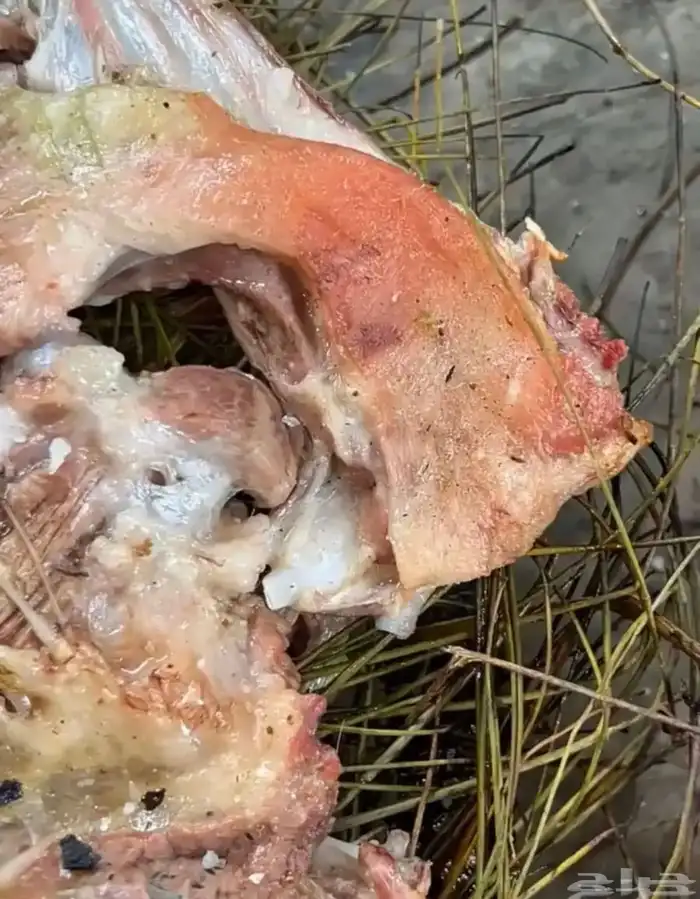 مرخ طازج للحنيذ والمندي يقطف يوم طلبك 1