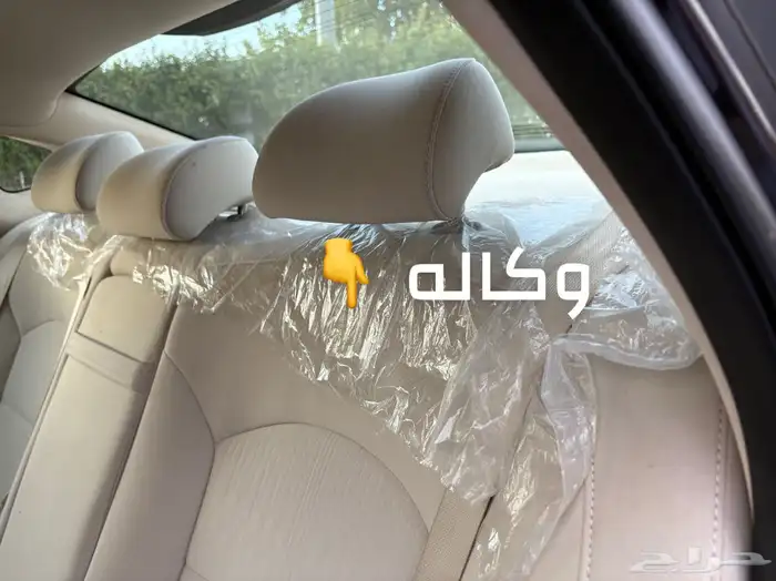 كادينزا 2018 17