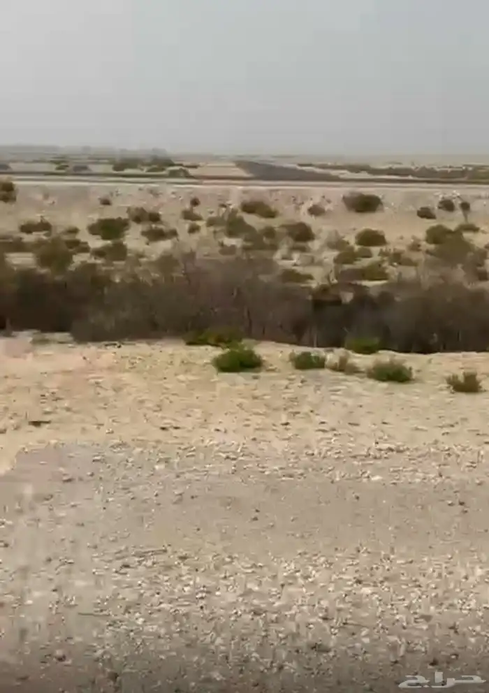 ارض للبيع في بقيق 0
