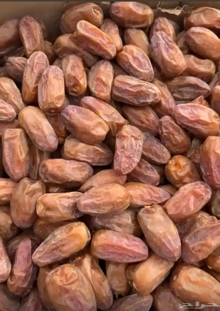 تمر صافي وقرشه حبة كبيره 6