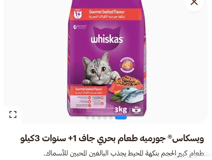 اكل قطط 0