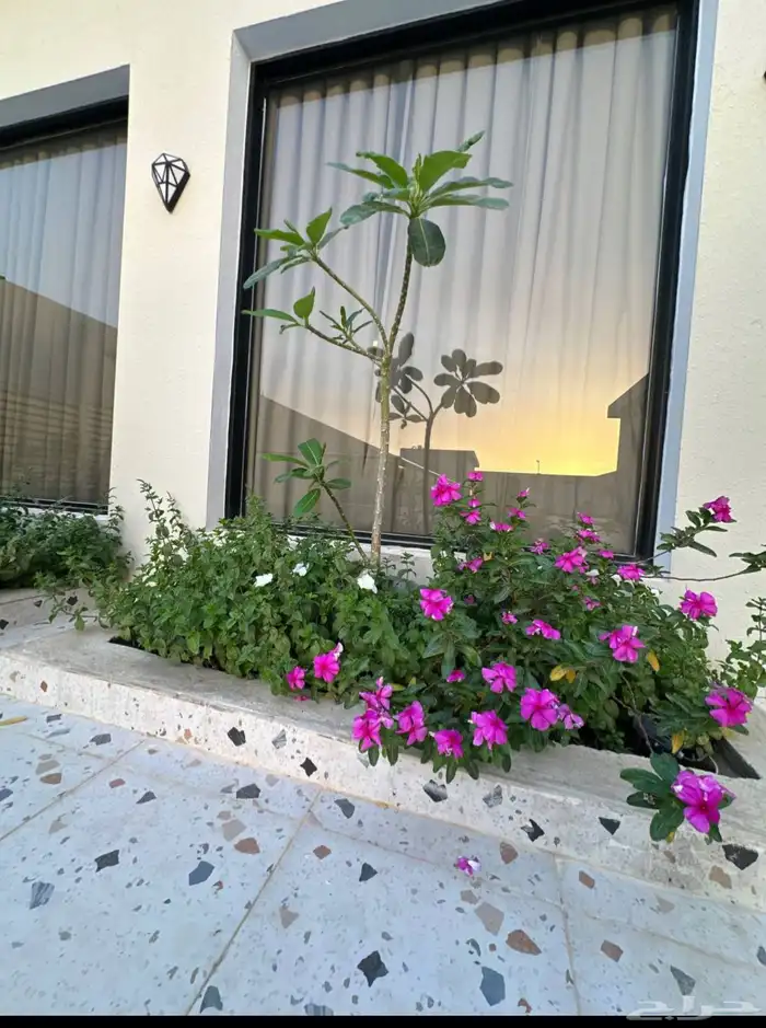 شاليه 9
