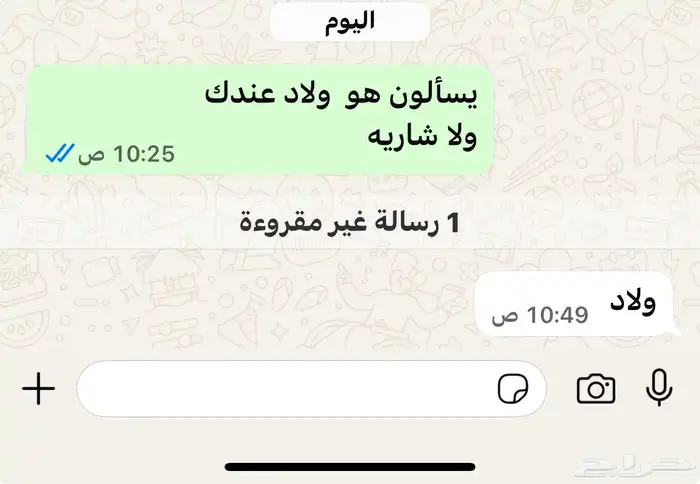 للبيع تيس فحل جذع 8