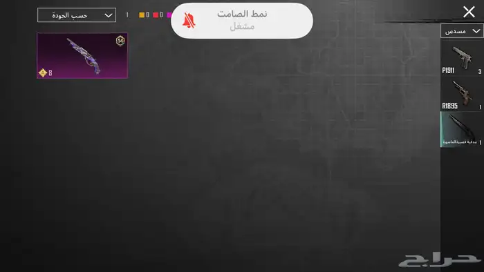 حساب ببجي للبيع 43