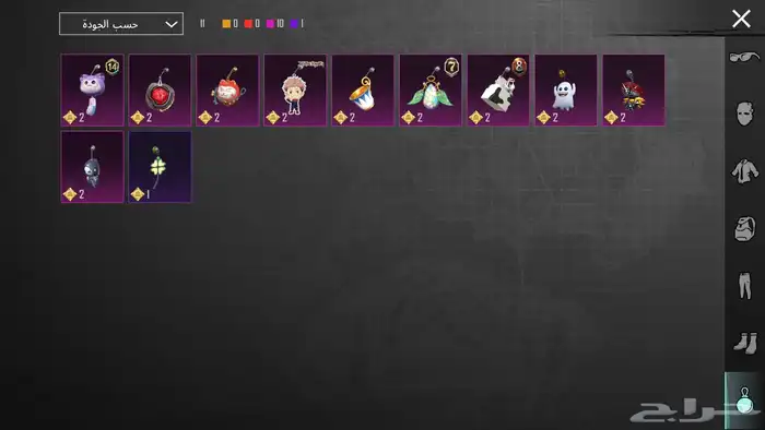 حساب ببجي للبيع 11