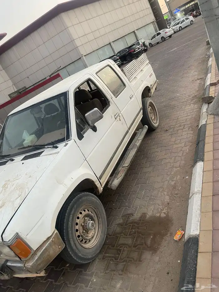ددسن تبيه بورق وبدون 0
