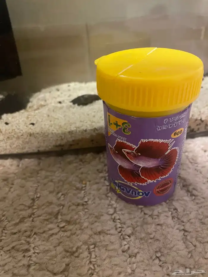 حوض سمك متوسط مع سمكة فايتر وملحقاتها 3