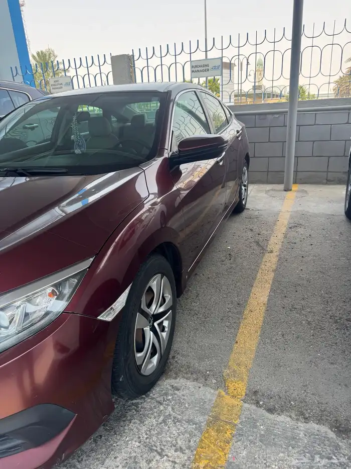 سفك هوندا 2019 10