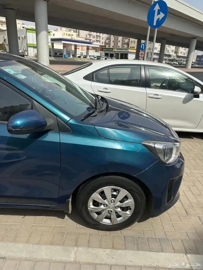 بيجاس 2021 19