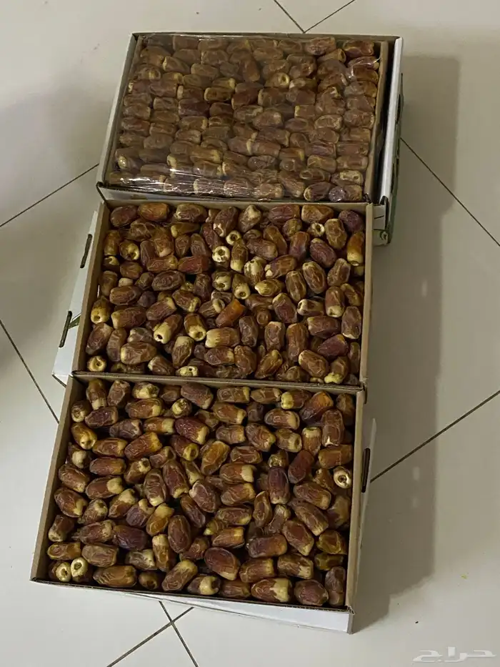 تمور صقعي 1