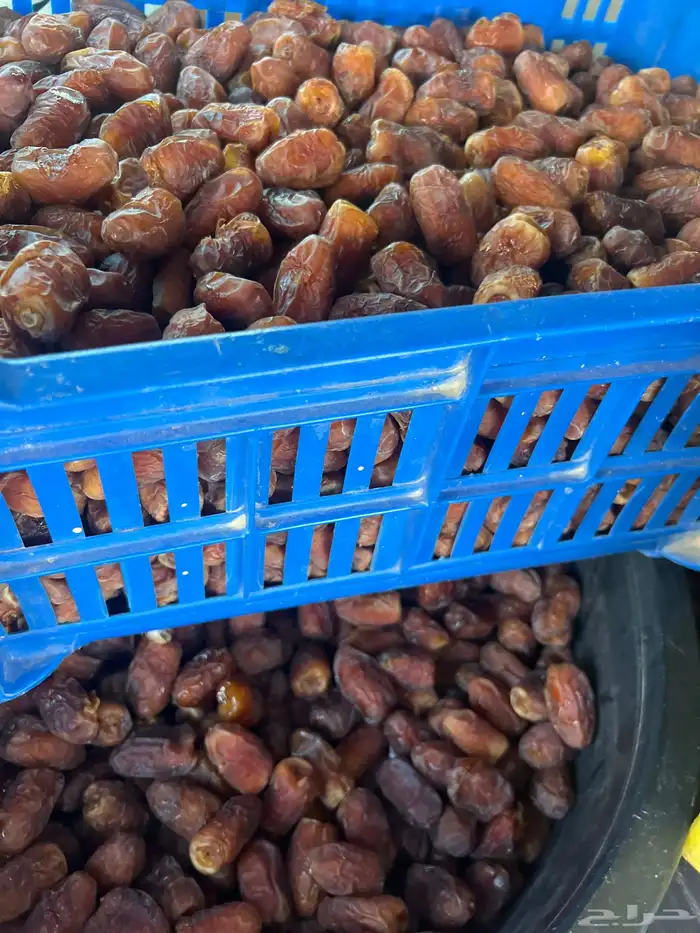 طشوت تمر داحسيه 20 كيلو وفوق 0