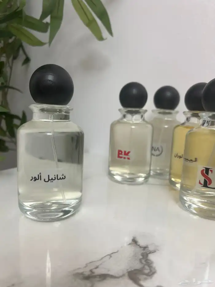عطور 100 مل متنوعه حسب الطلب 26