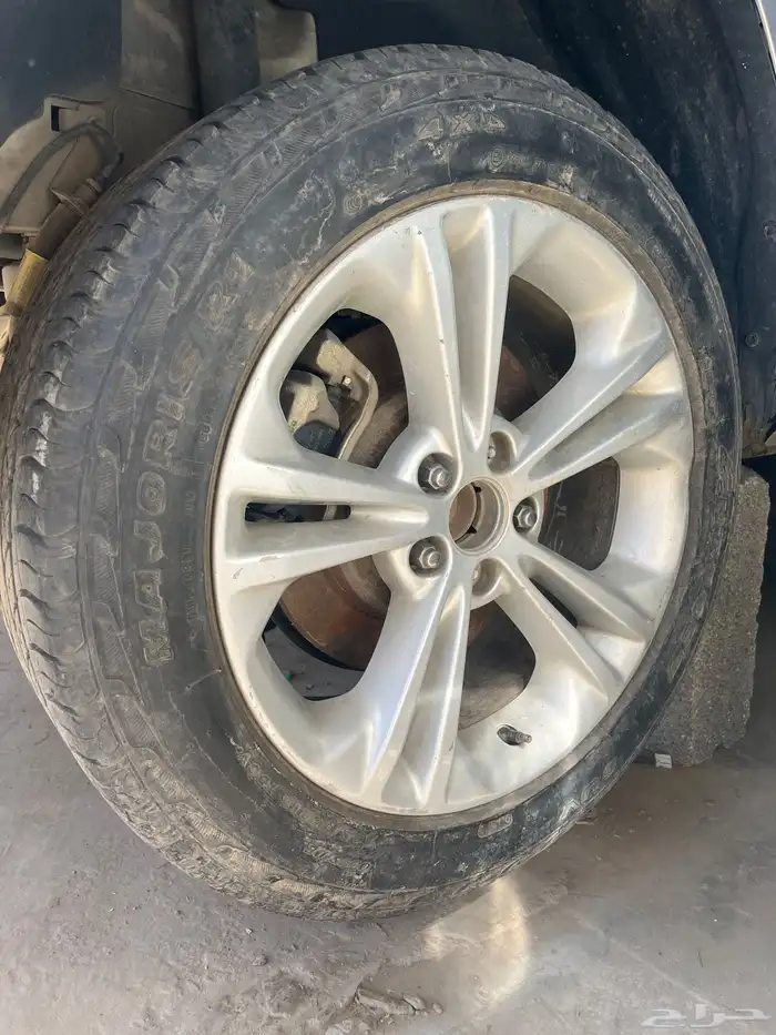 جنوط تورس 2013 1
