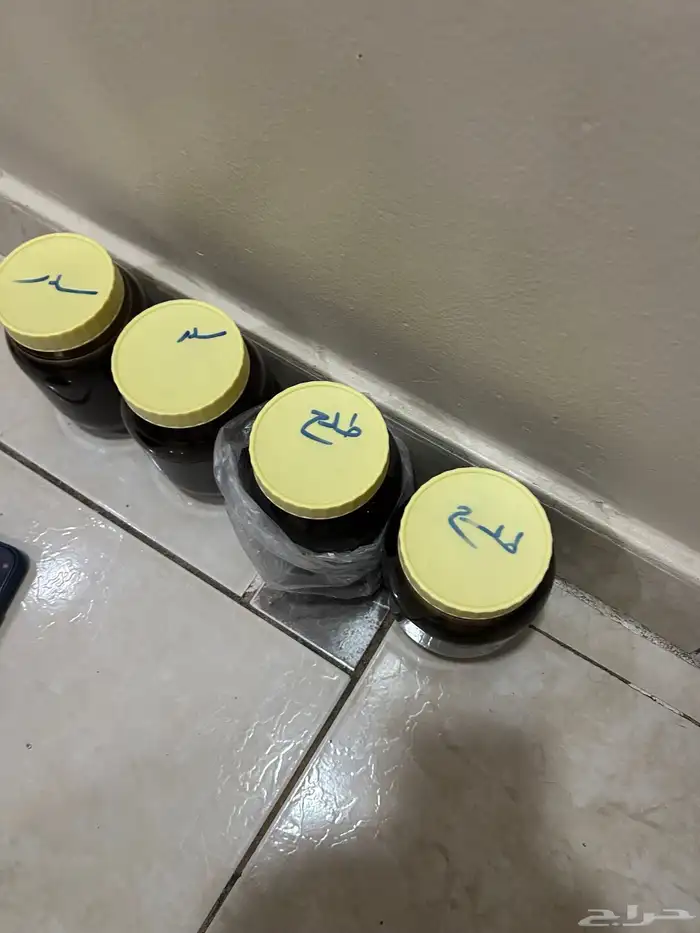 عسل سدر و طلح 2