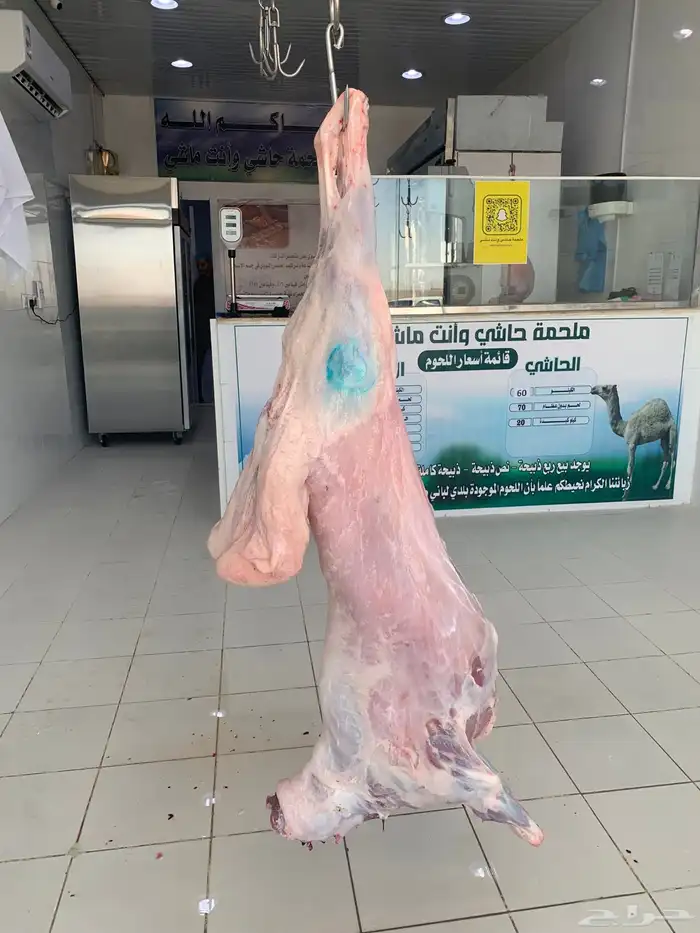 خروف طيب موجود بالملحمة 2