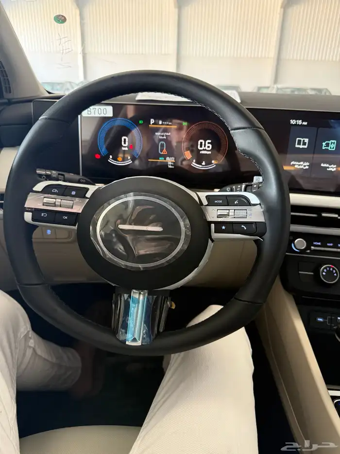 جيلي استار راي 2024 10