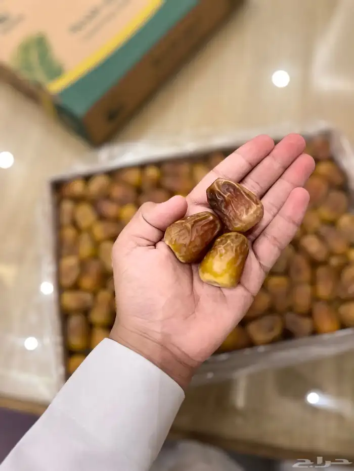 سكري عضوي 1