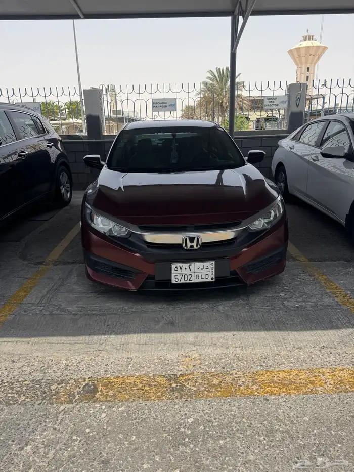 سفك هوندا 2019 12