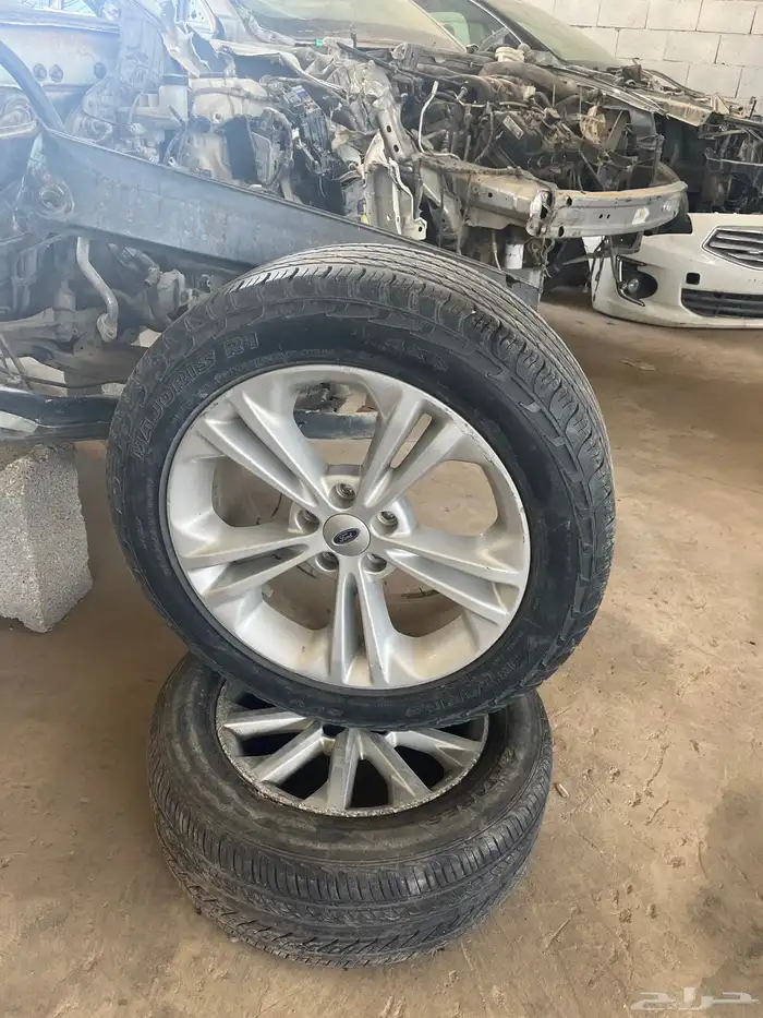 جنوط تورس 2013 0