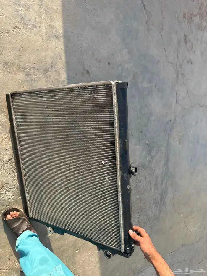 لديتر فكسار 2