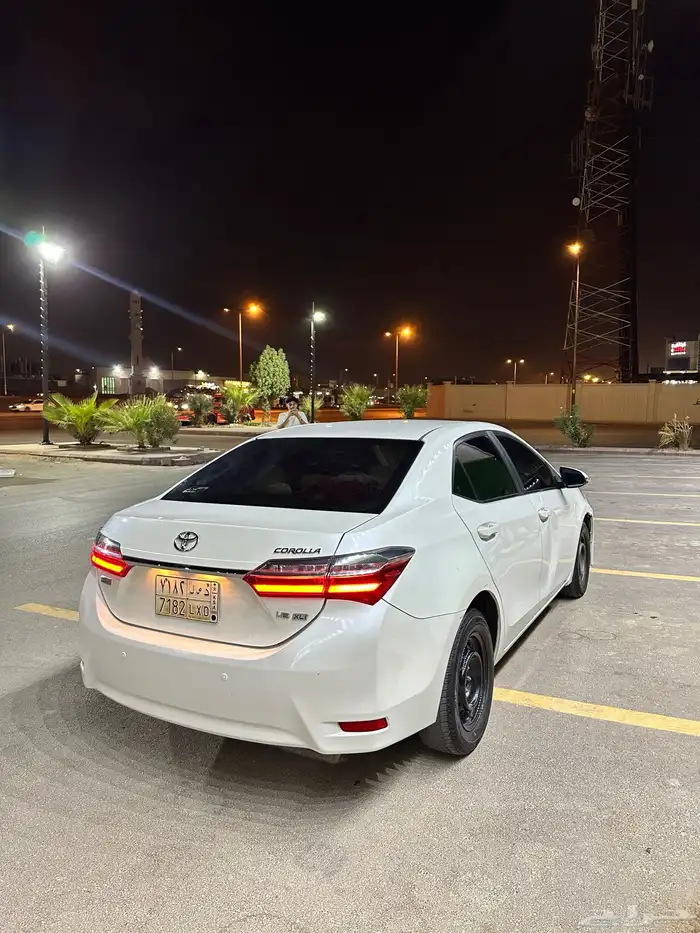 كورولا 2019 12
