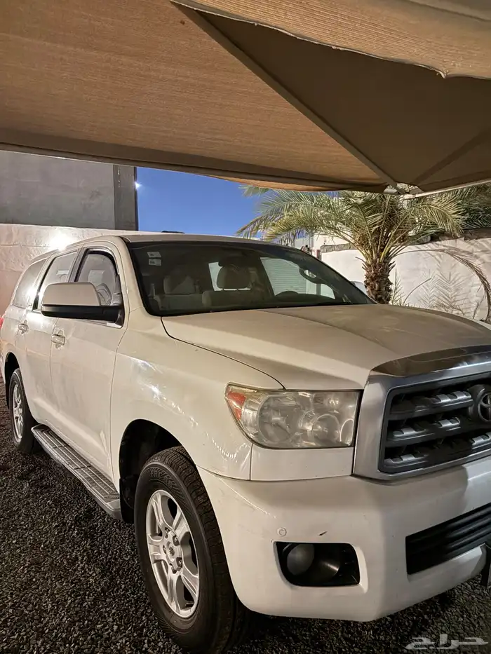 سايره سكويا 2