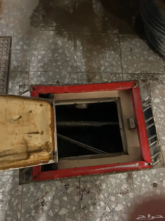 دينا ايسوزو 2
