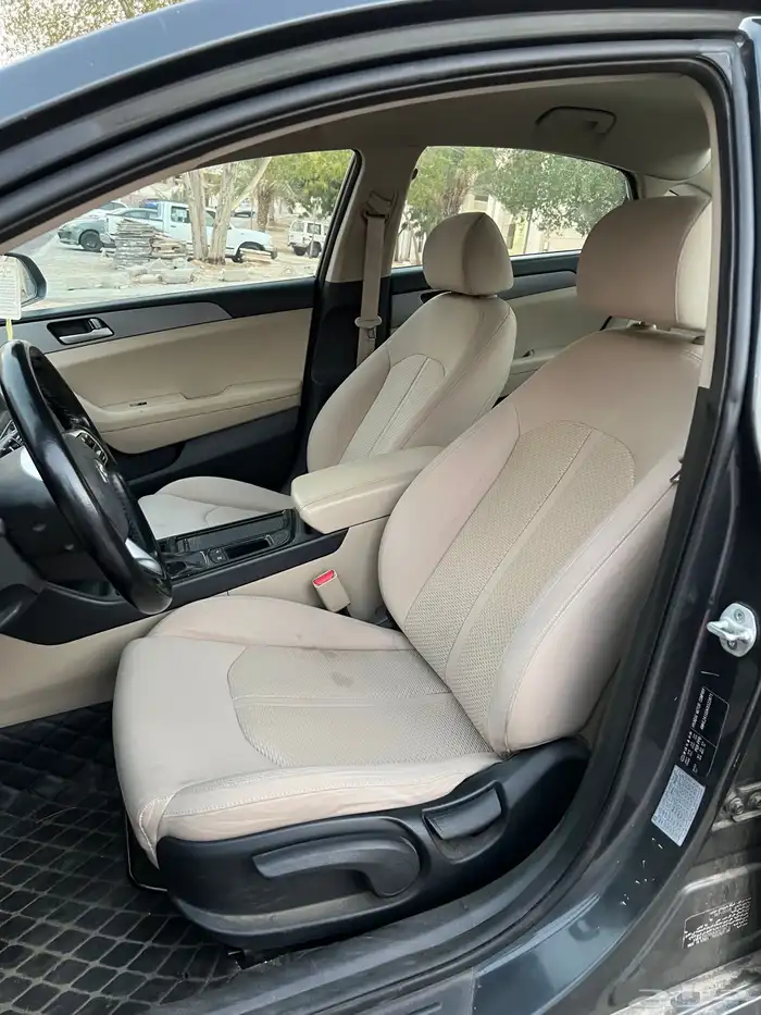 سوناتا 2019 10
