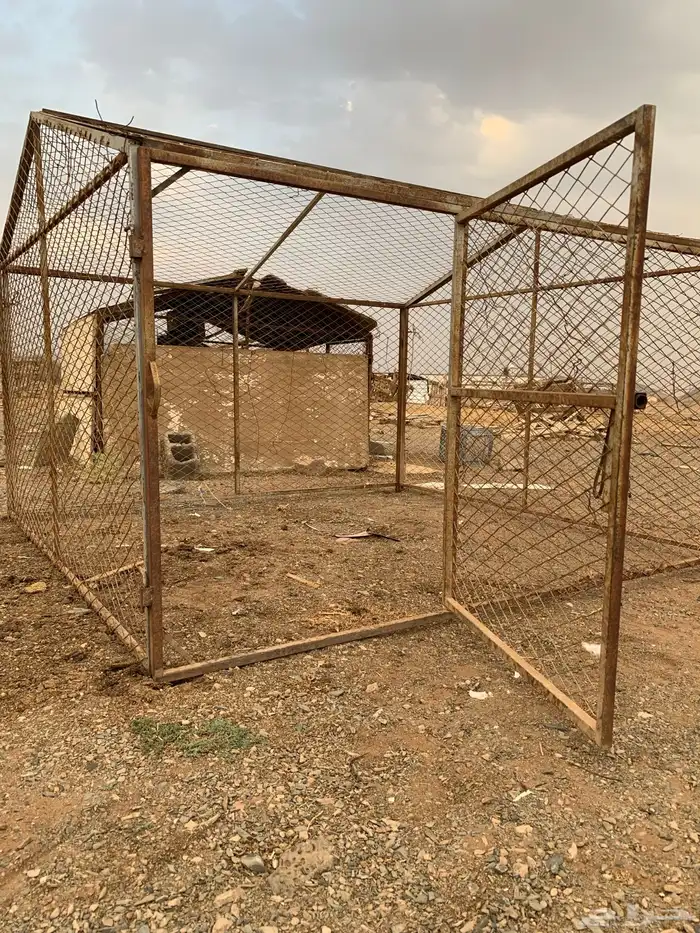 شبك طيور 2