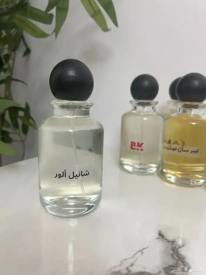 عطور 100 مل متنوعه حسب الطلب 25