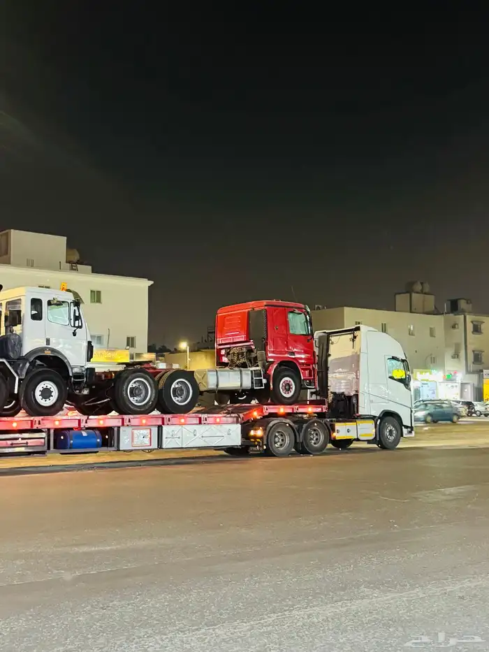 لوبد في القصيم المجمعه 0