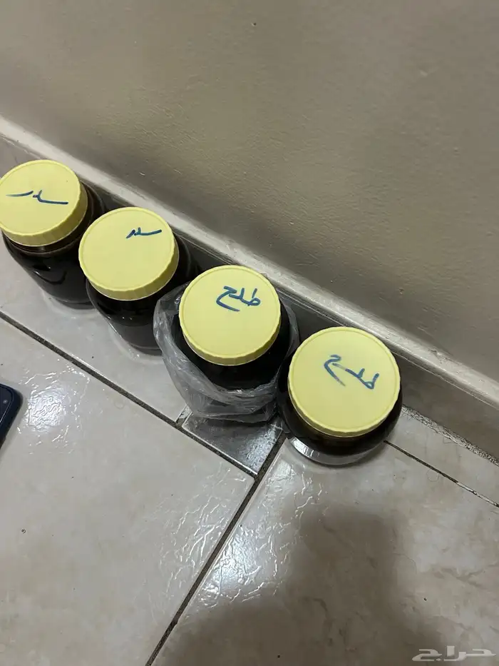 عسل سدر و طلح 3