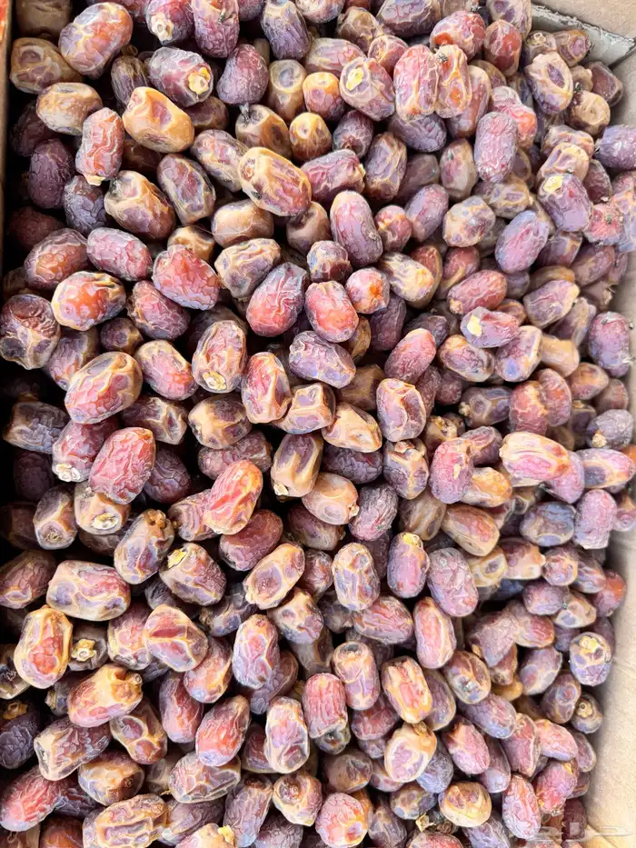 خلاص وادي(وادي الدواسر). 0