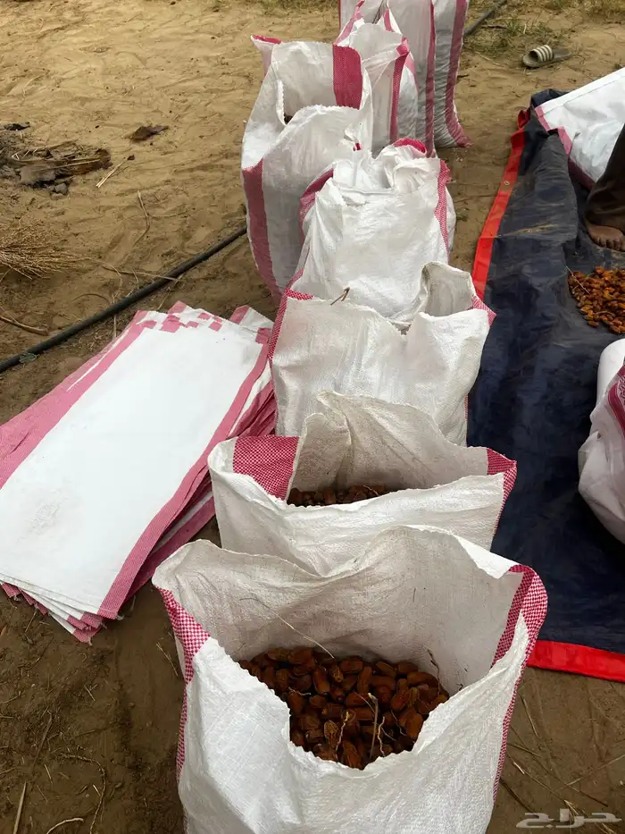 خرايط تمر الموقع بيشه 0