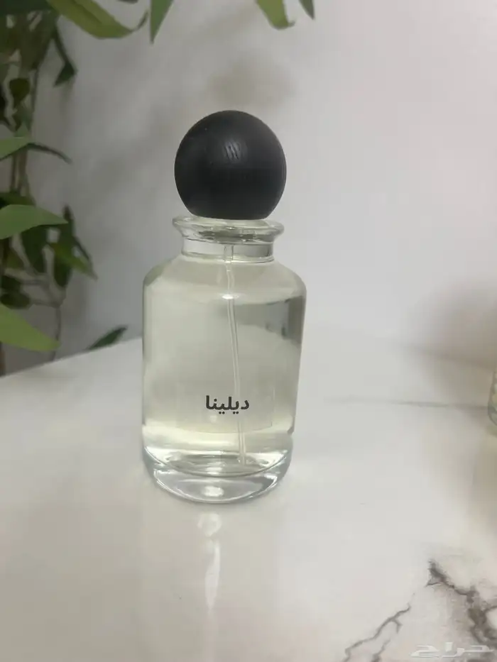 عطور 100 مل متنوعه حسب الطلب 25