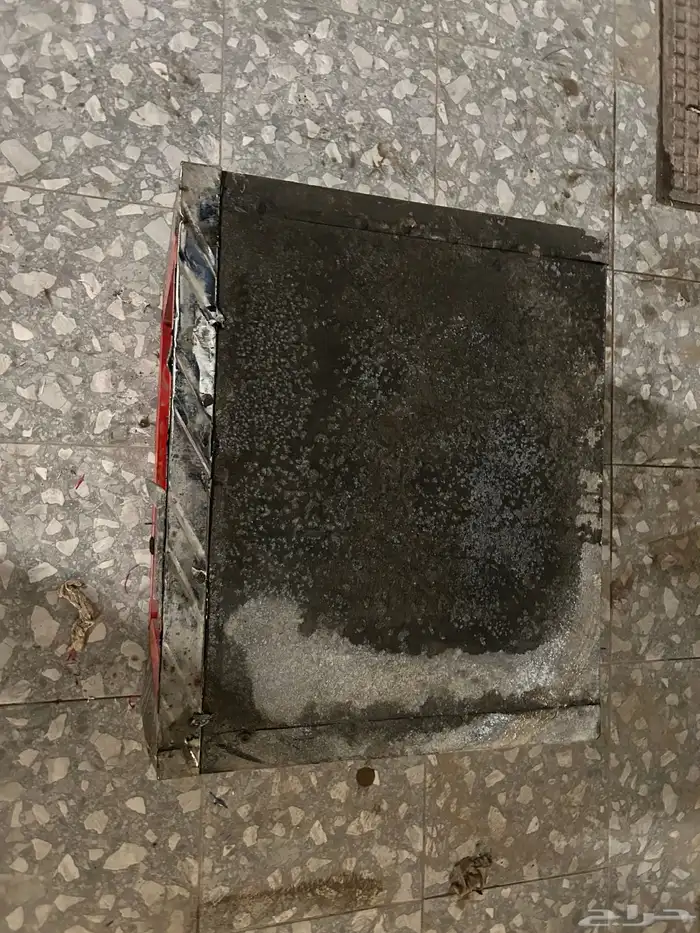 دينا ايسوزو 3