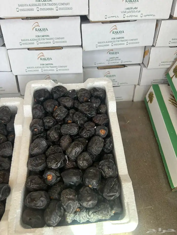 تمور تمر عجوه المدينه 3